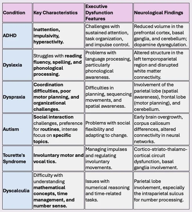 Comparison table of conditions ADHD, Dyslexia, Dyspraxia, Autism, Tourette's Syndrome, Dyscalculia with key characteristics, executive dysfunction features, and neurological findings.